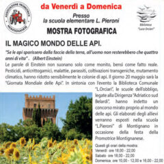 Festa del Cuntadin - Mostra fotografica Il magico mondo delle api