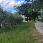 Fantasmi, demoni e folletti