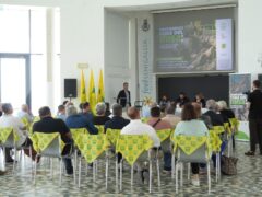 Progetto raccolta e riutilizzo legna nel bacino Misa-Nevola