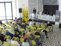 Progetto raccolta e riutilizzo legna nel bacino Misa-Nevola