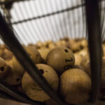 Lotto, gioco, estrazioni, numeri