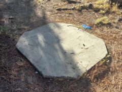 Incuria ai giardini "Anna Frank"