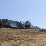 Incendio a Ostra