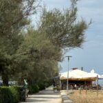 Sporcizia e incuria sul lungomare nord di Senigallia