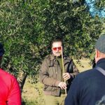 Corso potatura olivo