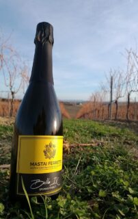 Bolla IX - Spumante Brut Cantina Mastai Ferretti