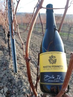 Bolla IX - Spumante Brut Cantina Mastai Ferretti