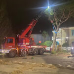 Vigili del Fuoco impegnati tra piazza Toti e via Don Minzoni per rimozione albero pericolante