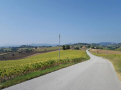 Active Valley - Turismo di prossimità - Escursioni in bicicletta
