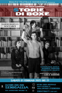Storie di boxe