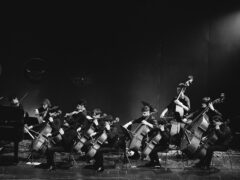 Family Concert al Teatro La Fenice per Senigallia Concerti 2024/2025 - Foto Simone Luchetti