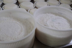 Azienda Agricola Francesco Zerbino - Ricotta