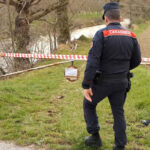 Sequestro da parte dei Carabinieri Forestali