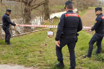 Sequestro da parte dei Carabinieri Forestali
