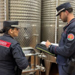 Carabinieri Forestali: perquisizioni per presunte truffe nel settore vitivinicolo