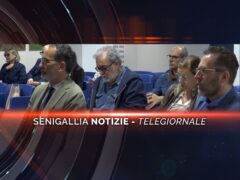 senigallia notizie telegiornale