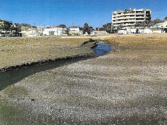 Sbocco in spiaggia del fosso S. Angelo