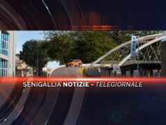 senigallia notizie telegiornale