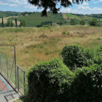 Campo sportivo di Ostra in stato di abbandono