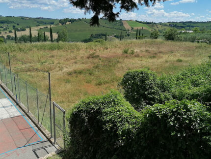 Campo sportivo di Ostra in stato di abbandono