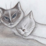 gatti