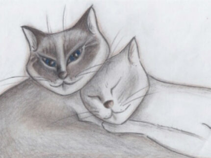 gatti
