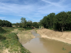 Fiume Misa