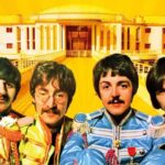 BeatleSenigallia