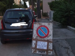 Cartello abbattimento alberi apparso in via Venezia come appariva lunedì 2 giugno