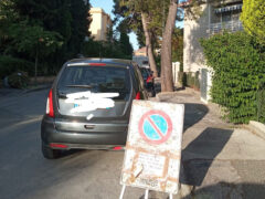Cartello abbattimento alberi apparso in via Venezia come appariva mercoledì 4 giugno