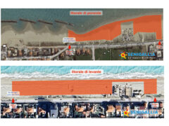 Spiagge per cani a Senigallia