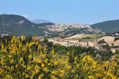Borghi di Velluto - Castello di Castiglioni, Arcevia