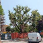 Cantiere edile per edificio residenziale al Vivere Verde