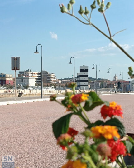 Fiori al porto - Foto Fedele Ruvio