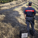 Incendio di vegetazione a Corinaldo