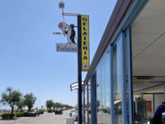 Gelateria Il Pinguino Senigallia - Gelato artigianale e cocktail bar