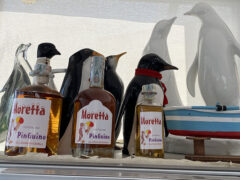 Gelateria Il Pinguino Senigallia - La Moretta del Pinguino