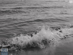 Il bel mare - Foto Marco Petrelli