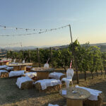 Ristorante Cantina Langelina Corinaldo - Aperitivi in vigna
