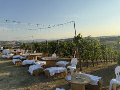 Ristorante Cantina Langelina Corinaldo - Aperitivi in vigna