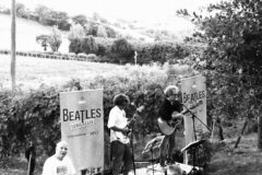 BeatleSenigallia 2025 - Castelleone Suasa - Azienda Venturi - BeatleSenigallia in Vigna!
