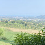Il panorama dal Ristorante La Colina da Pifin a Castelvecchio di Monte Porzio