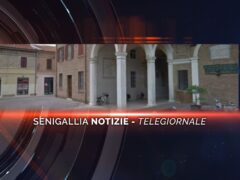 senigallia notizie telegiornale
