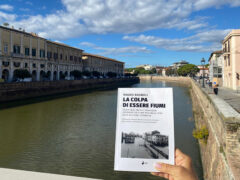 La colpa di essere fiumi, libro di Mauro Rognoli