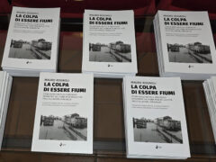 La colpa di essere fiumi, libro di Mauro Rognoli