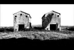 La mostra "Il paesaggio, la fotografia, il maestro"