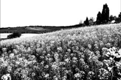 Il Paesaggio, la Fotografia, il Maestro - Davide Maglio e Aristide Salvalai