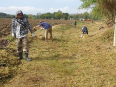 Volontari ripristinano il PercorriMisa
