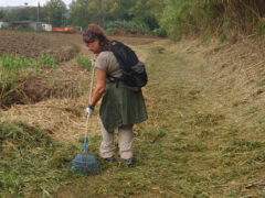 Volontari ripristinano il PercorriMisa