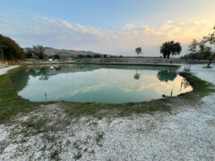 Corinaldo: lago pesca sportiva